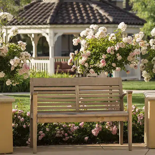 A park bench at Stoneridge Creek